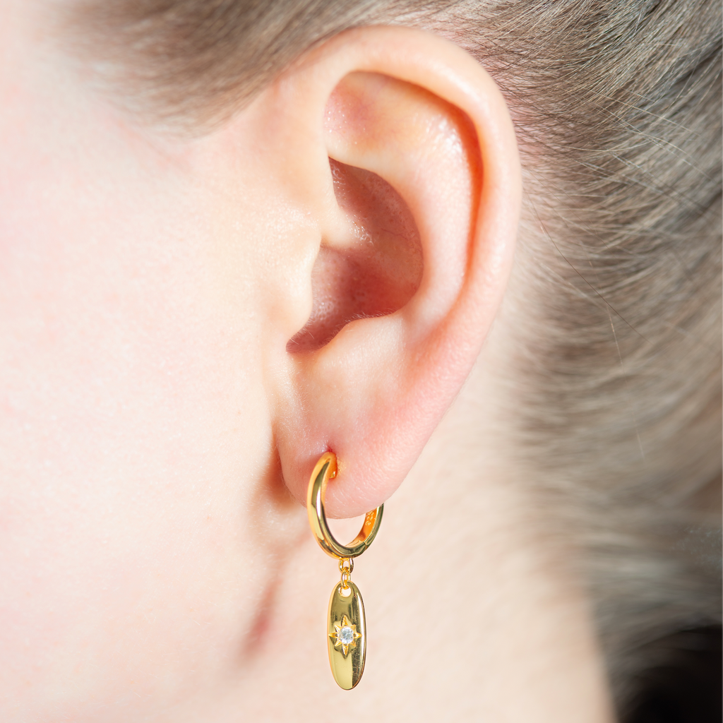 Lucy Oval Shining Pendant Earrings